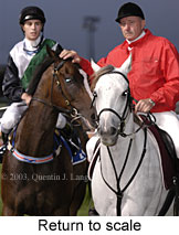 Return to scale (14480 bytes)