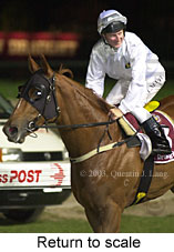 Return to scale (13607 bytes)