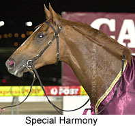 Special Harmony (13522 bytes)