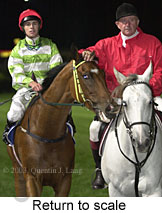 Return to scale (14325 bytes)