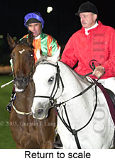 Return to scale (14743 bytes)