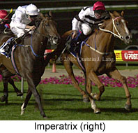 Imperatrix (16646 bytes)