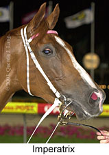 Imperatrix (12982 bytes)