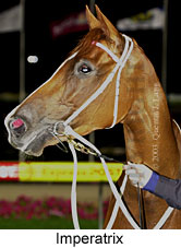 Imperatrix (14109 bytes)