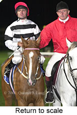 Return to scale (14560 bytes)