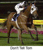 Don't Tell Tom (13848 bytes)