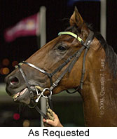 As Requested (14278 bytes)