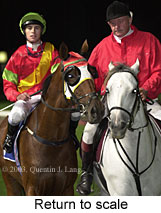 Return to scale (15446 bytes)