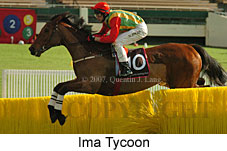 Ima Tycoon (14872 bytes)