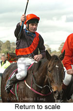 Return to scale (15361 bytes)