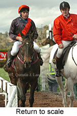 Return to scale (15361 bytes)