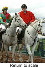 Return to scale (15361 bytes)