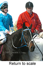 Return to scale (15361 bytes)