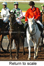 Return to scale (15361 bytes)