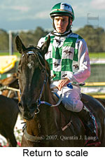 Return to scale (15361 bytes)