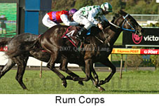 Rum Corps (14872 bytes)