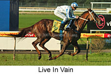 Live In Vain (14872 bytes)