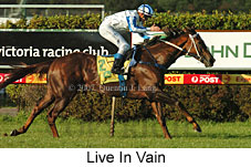 Live In Vain (14872 bytes)