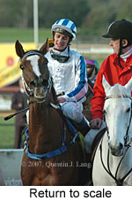 Return to scale (15361 bytes)