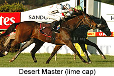 Desert Master (14872 bytes)