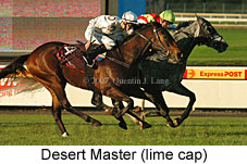 Desert Master (14872 bytes)