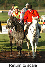 Return to scale (15361 bytes)