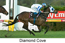 Diamond Cove (14872 bytes)