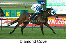 Diamond Cove (14872 bytes)