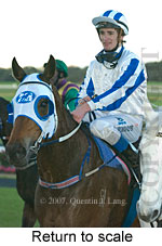 Return to scale (15361 bytes)