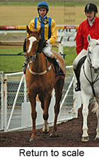 Return to scale (15361 bytes)