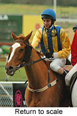 Return to scale (15361 bytes)