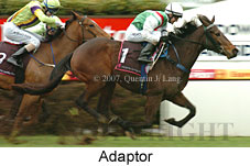 Adaptor (14872 bytes)