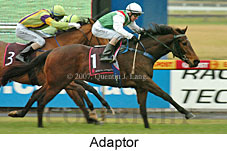 Adaptor (14872 bytes)