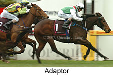 Adaptor (14872 bytes)