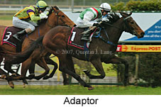 Adaptor (14872 bytes)