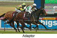 Adaptor (14872 bytes)