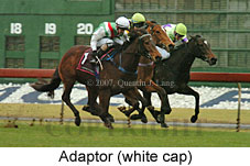 Adaptor (14872 bytes)