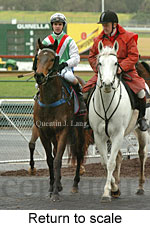 Return to scale (15361 bytes)