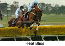 Real Bliss (15361 bytes)