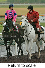 Return to scale (15361 bytes)