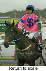 Return to scale (15361 bytes)