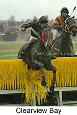 Clearview Bay (19622 bytes)