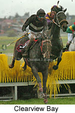 Clearview Bay (14872 bytes)