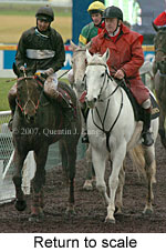 Return to scale (15361 bytes)