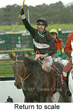 Return to scale (15361 bytes)