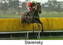 Starensky (15361 bytes)