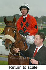 Return to scale (15361 bytes)