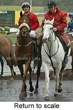 Return to scale (15361 bytes)