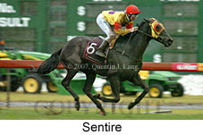 Sentire (14872 bytes)