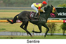 Sentire (14872 bytes)